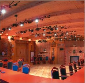 Bagolyv�r Fogad� - P�cs