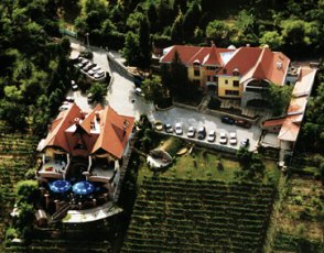 Bagolyv�r Fogad� - P�cs