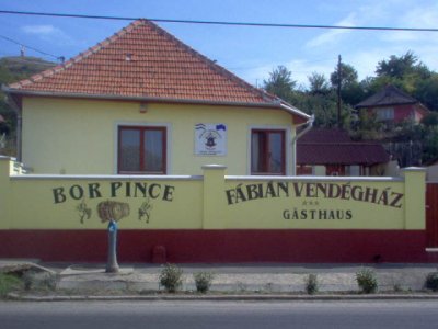 F�bi�n Vend�gh�z sz�ll�shely