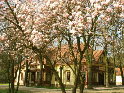 Villa Hotel **** - Krúdy Étterem - Debrecen