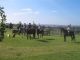 Andrea Wellness Panzió*** - Cserszegtomaj (Hévíz)